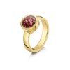 Tribute Gold Ruby 4