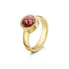 Tribute Gold Ruby 5