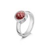 Tribute WG Ruby 4