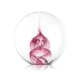 PW Ruby 2025 1