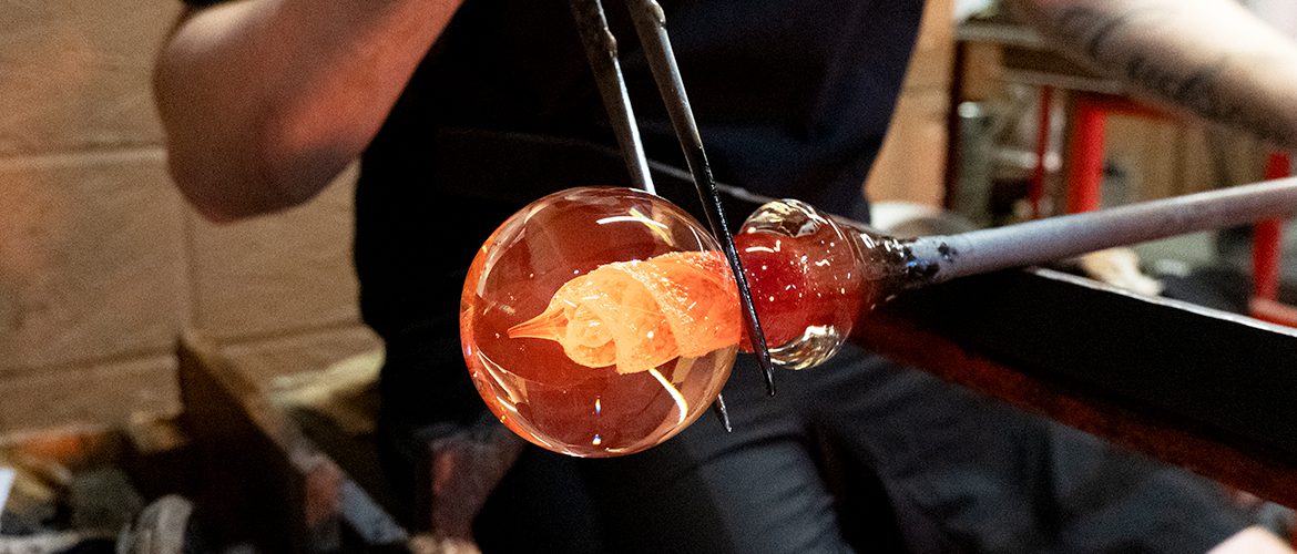 open days header 20.01.2026